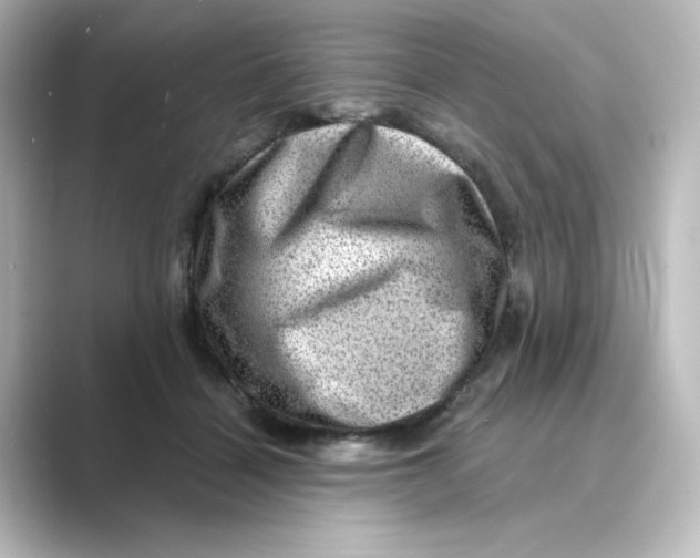 X0000088730460200706212042