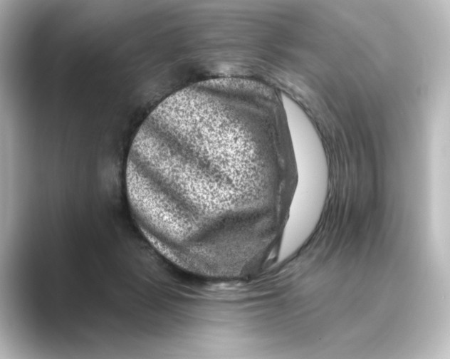 X0000088730461200706212042