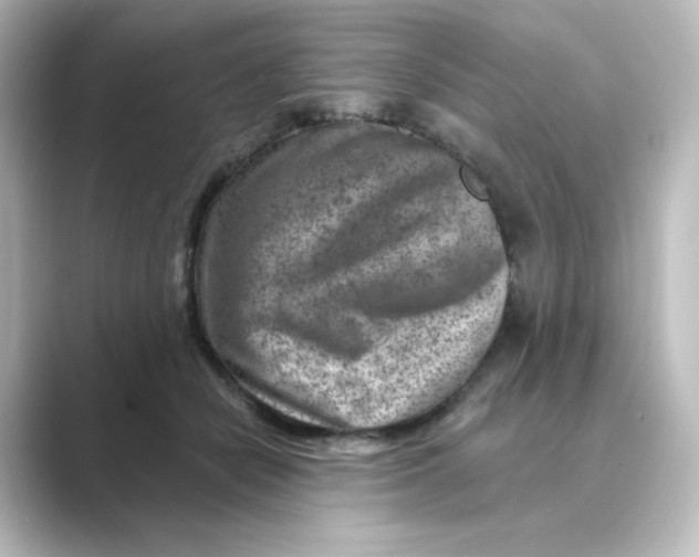 X0000088730462200706212042