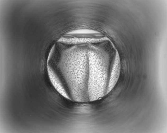 X0000088730463200706212042