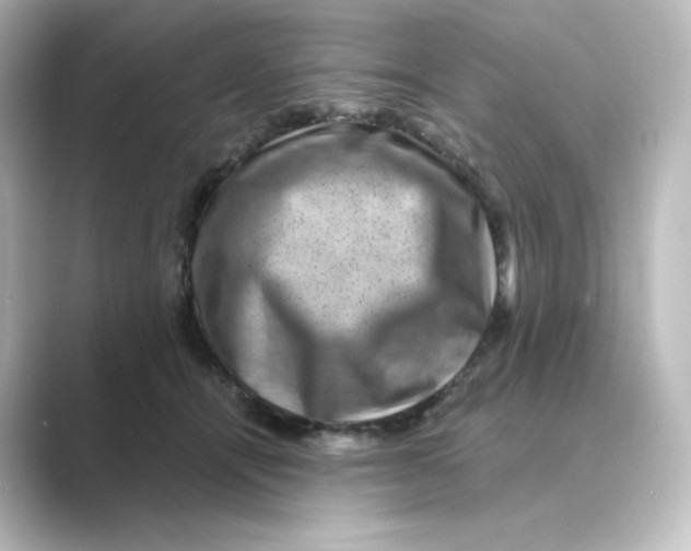 X0000088730464200706212042