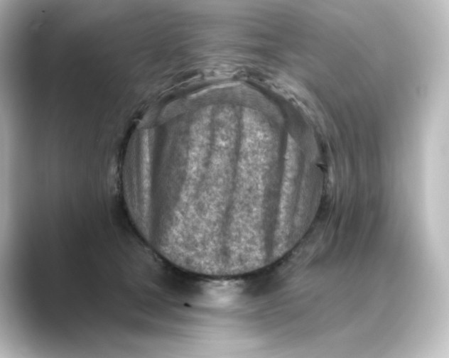 X0000088730465200706212042