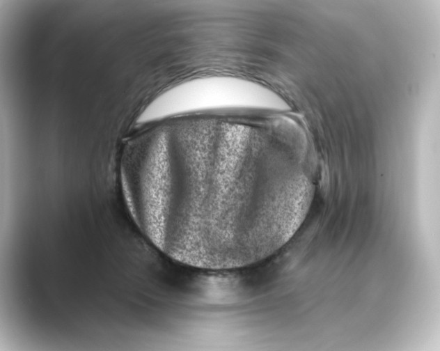 X0000088730466200706212042