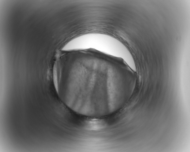 X0000088730467200706212042