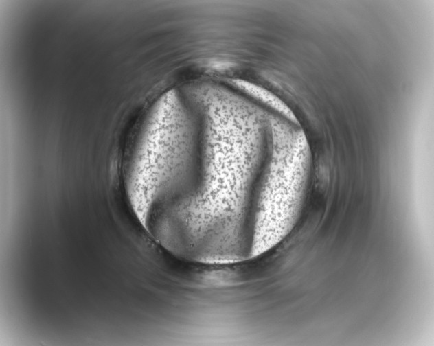 X0000088730468200706212042