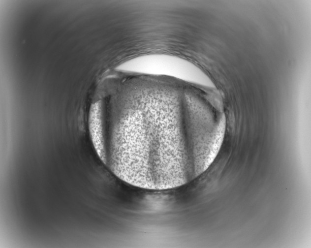 X0000088730470200706212042