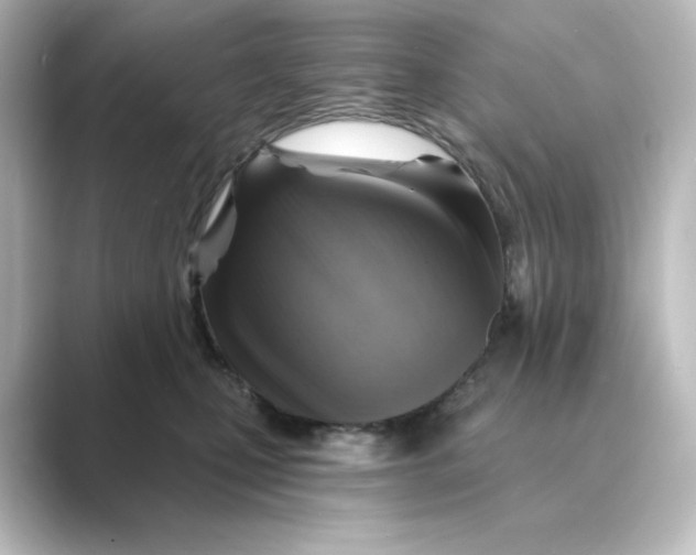 X0000088730471200706212042