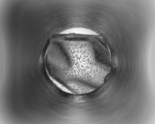 X0000088730472200706212042