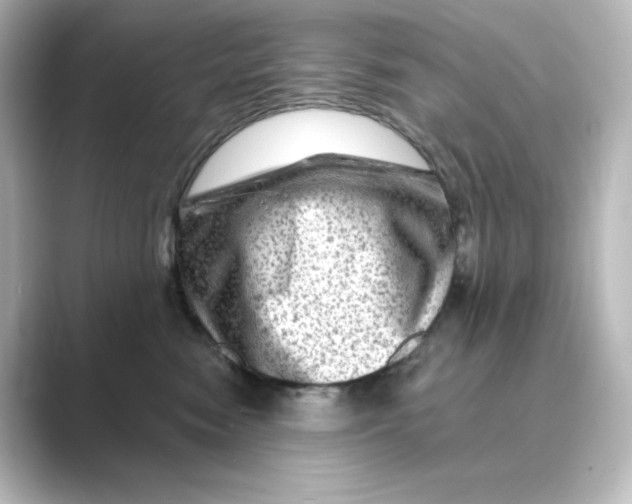 X0000088730474200706212042