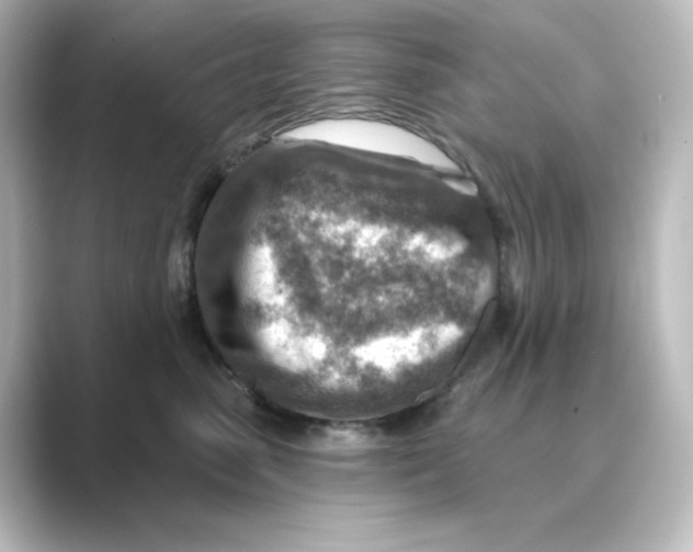 X0000088730475200706212042