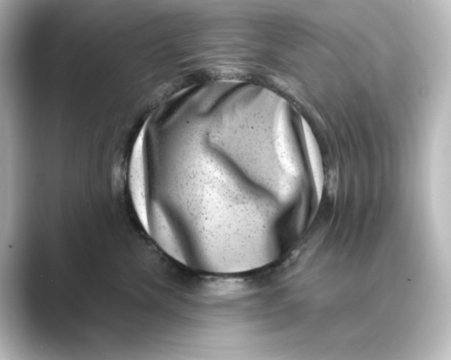 X0000088730476200706212042