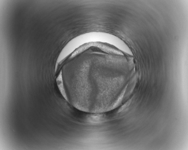 X0000088730479200706212042