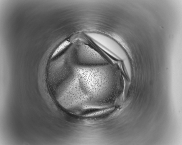 X0000088730481200706212042