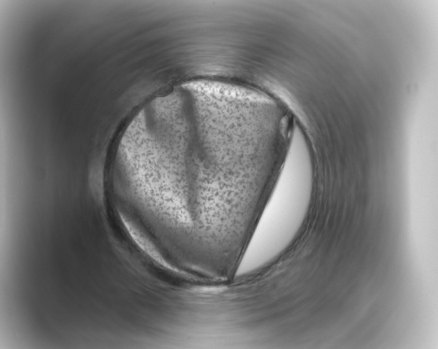 X0000088730482200706212041