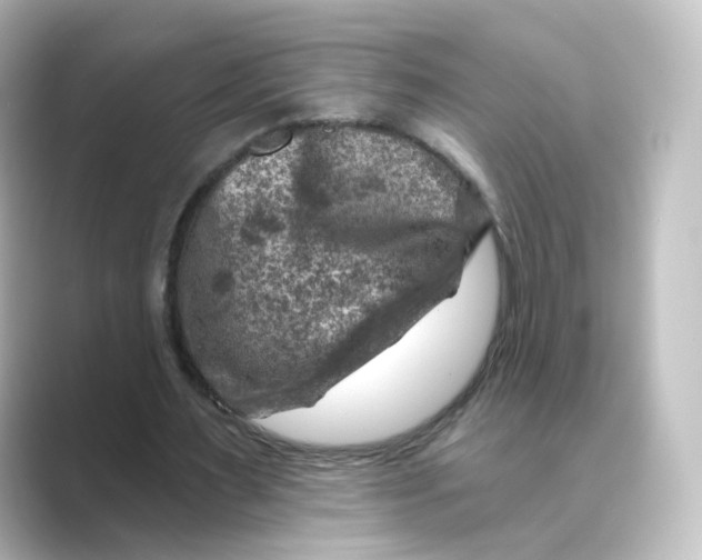 X0000088730483200706212041