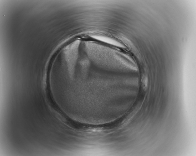 X0000088730484200706212041