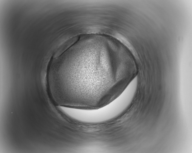 X0000088730485200706212041