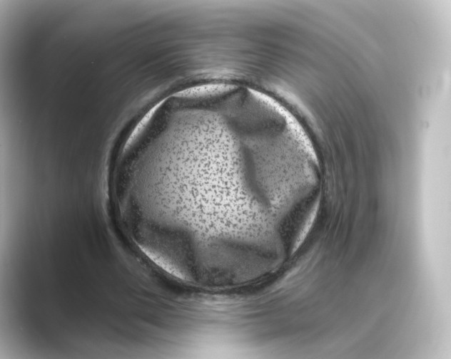 X0000088730486200706212041