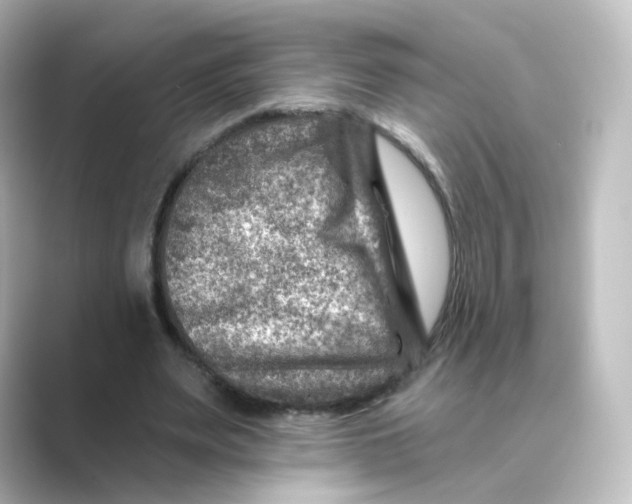 X0000088730487200706212041