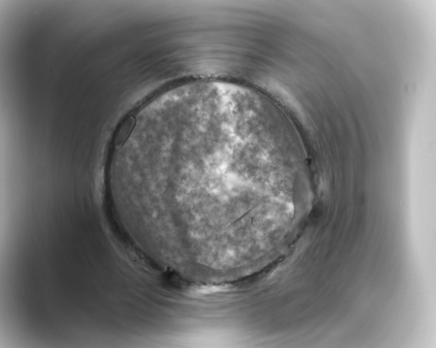 X0000088730488200706212041