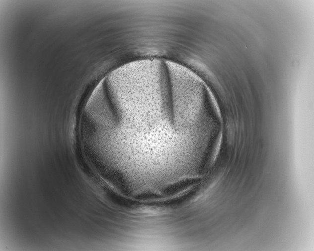 X0000088730490200706212041