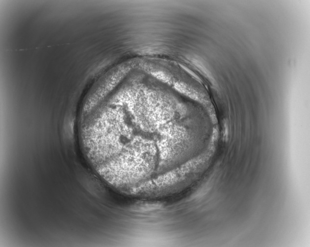 X0000088730491200706212041