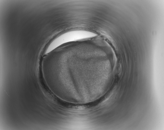 X0000088730492200706212041