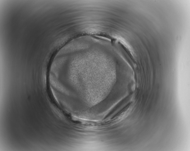 X0000088730493200706212041