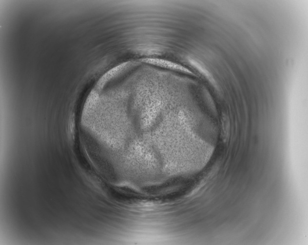 X0000088730494200706212041