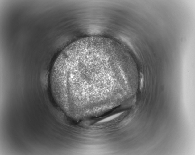 X0000088730495200706212041