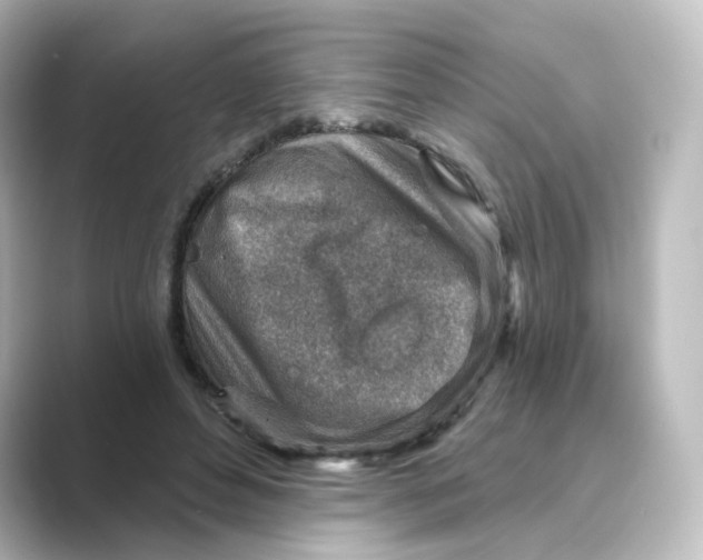 X0000088730496200706212041