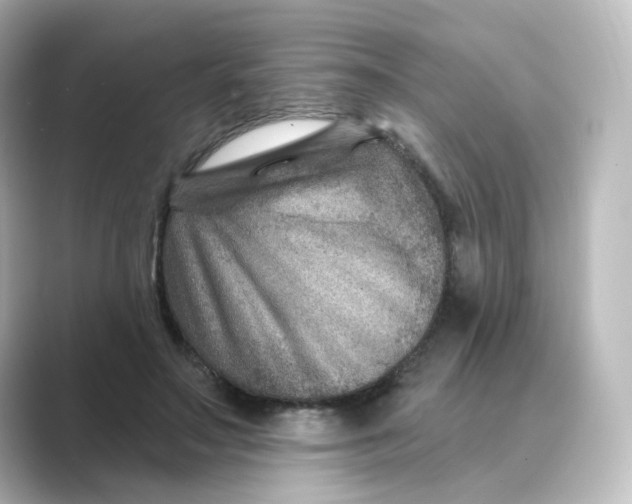 X0000088730499200706212041