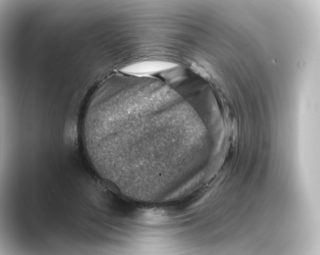 X0000088730500200706212041