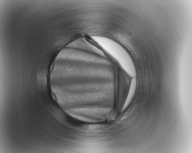 X0000088730501200706212041