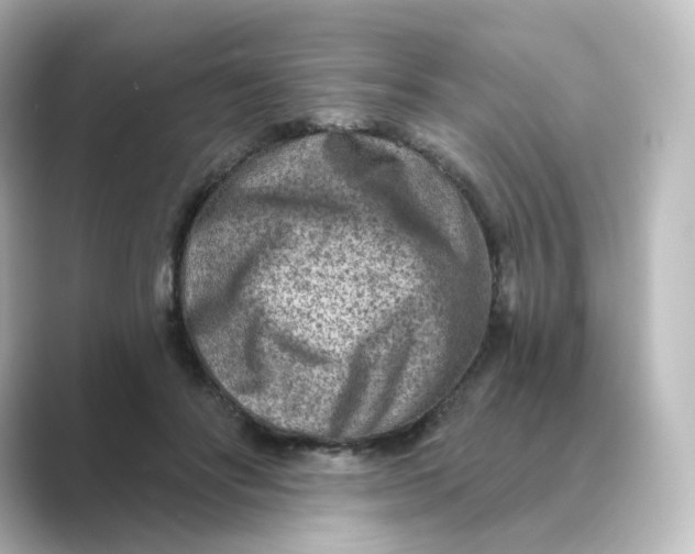 X0000088730502200706212041