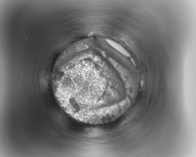 X0000088730503200706212041