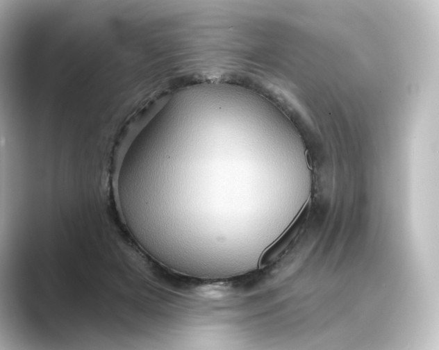 X0000088730505200706212041