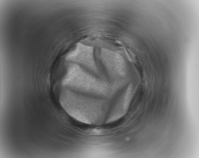 X0000088730506200706212041