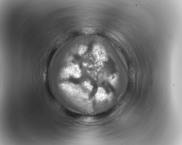 X0000088730507200706212041