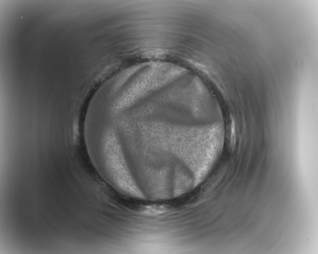 X0000088730508200706212041