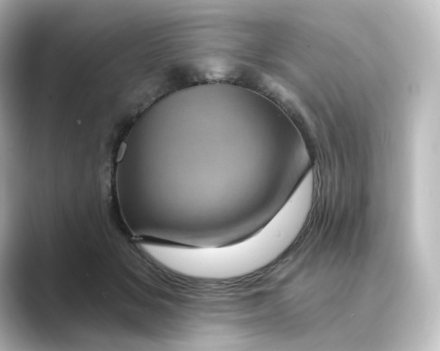 X0000088730509200706212041