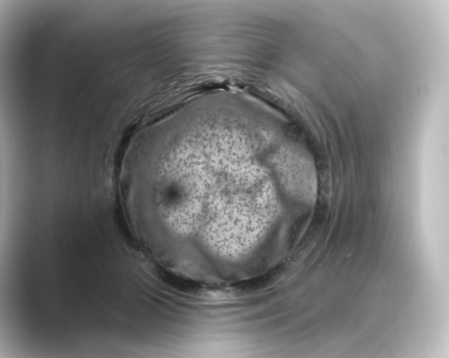 X0000088730510200706212041