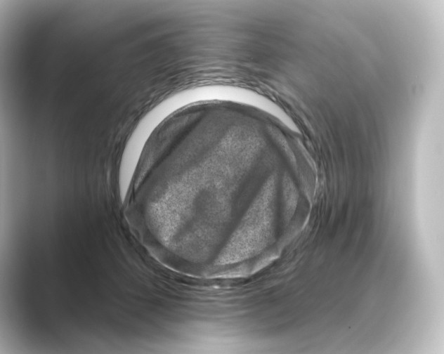 X0000088730512200706212041