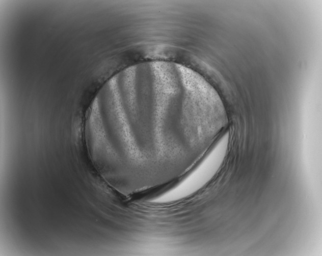 X0000088730513200706212041