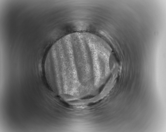 X0000088730516200706212041