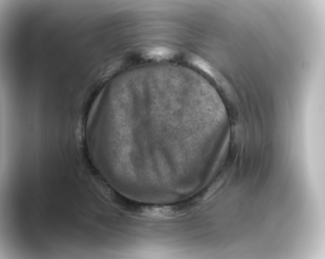 X0000088730517200706212041