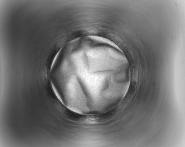 X0000088730518200706212041