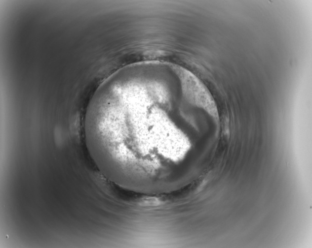 X0000088730519200706212041