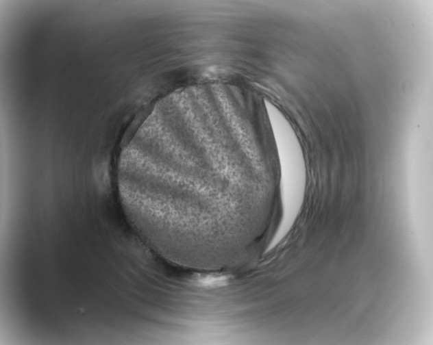 X0000088730520200706212041