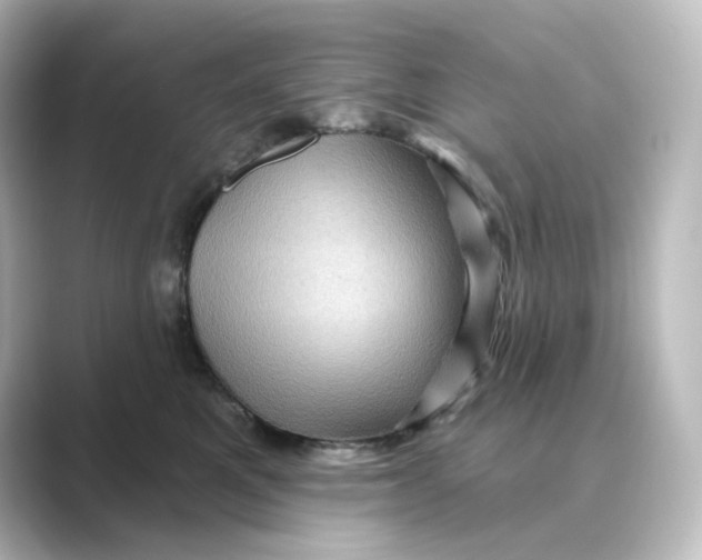 X0000088730521200706212041